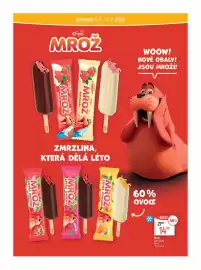 Globus leták týden 27 Strana 26