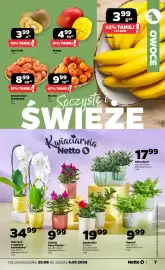 Netto gazetka tydzień 27 Strona 7