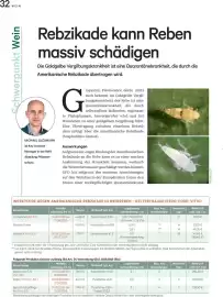 Lagerhaus Flugblatt Seite 32