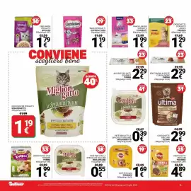Volantino Supermercati Gulliver Pagina 19