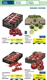 METRO Prospekt woche 27 Seite 8