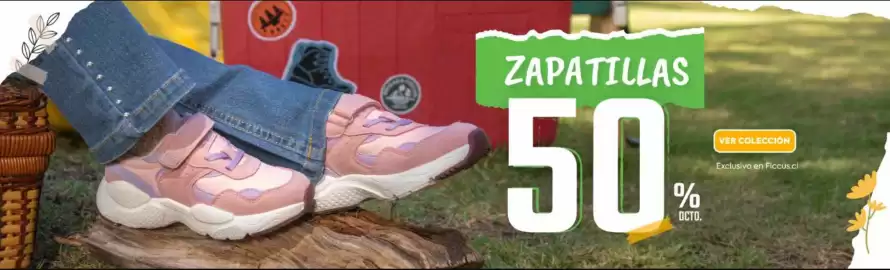 Catálogo Ficcus Página 3