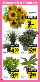 Vomar Voordeelmarkt folder week 27 Pagina 35
