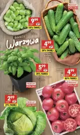Delikatesy Centrum gazetka tydzień 27 Strona 13