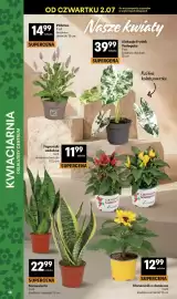 Delikatesy Centrum gazetka tydzień 27 Strona 38