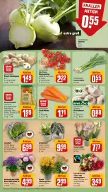 REWE Prospekt woche 27 Seite 9