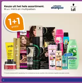 Trekpleister folder Pagina 12