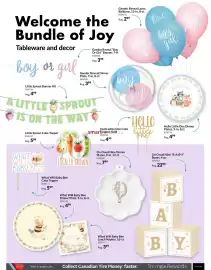 Party City flyer Page 13