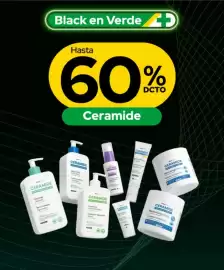 Catálogo Cruz Verde Página 6