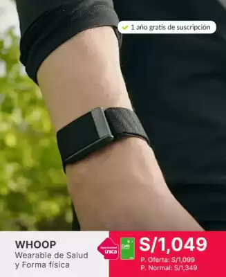 Falabella (válido hasta 11-07)