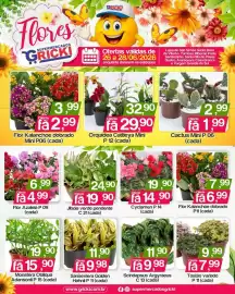 Catálogo Supermercados Gricki Página 1