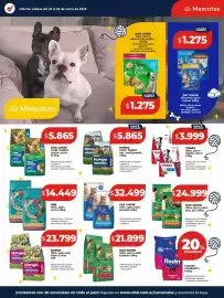 Catálogo Supermayorista Vital semana 26 Página 21