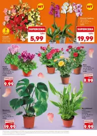 Kaufland gazetka Strona 7