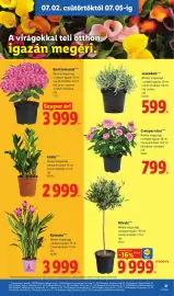 Lidl akciós újság hét 27 Oldal 21
