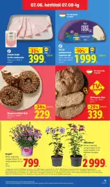 Lidl akciós újság hét 27 Oldal 73