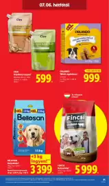 Lidl akciós újság hét 27 Oldal 85