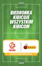 Biedronka gazetka Strona 5