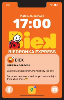Biedronka (ważność do 28-06)