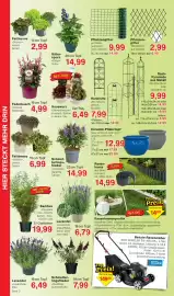 Wiglo Wunderland Prospekt woche 27 Seite 8