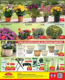 Zimmermann Prospekt woche 27 Seite 12