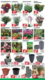 Wreesmann Prospekt woche 27 Seite 3