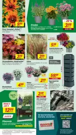 Toom Baumarkt Prospekt woche 26 Seite 5