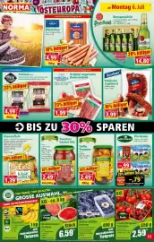 Norma Prospekt woche 28 Seite 11