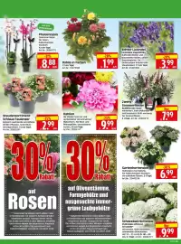 Herkules Baumarkt Prospekt woche 27 Seite 2