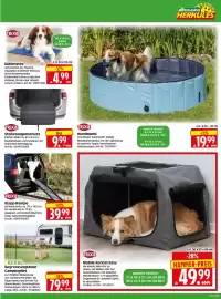 Herkules Baumarkt Prospekt woche 27 Seite 7