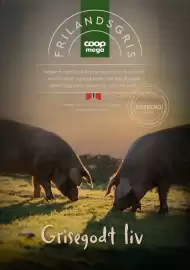 Coop Mega kundeavis Side 16