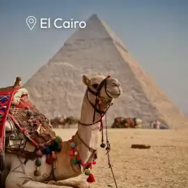 Catálogo Mega Travel Página 4