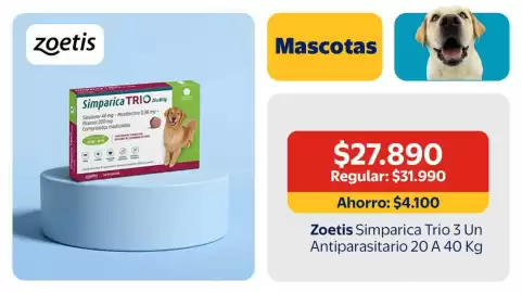 Catálogo Lider Página 18
