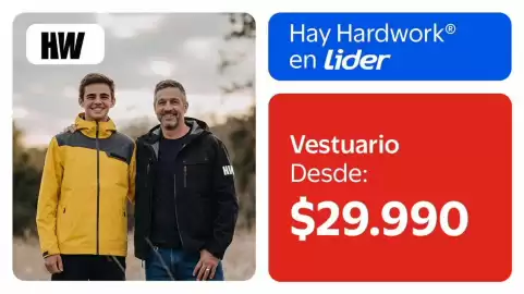 Catálogo Lider Página 21
