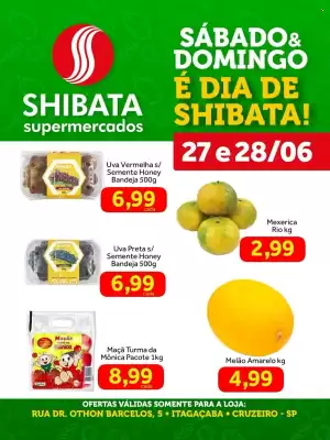 Shibata (válido até 28-06)
