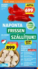 ALDI akciós újság hét 27 Oldal 15