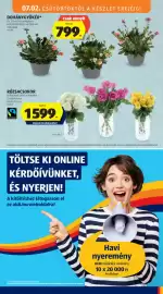 ALDI akciós újság hét 27 Oldal 21