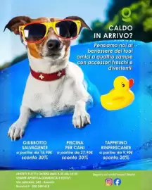 Volantino Florarici Pagina 11