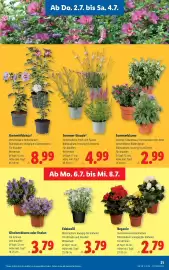Lidl Flugblatt woche 27 Seite 25