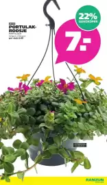 Ranzijn folder Pagina 10