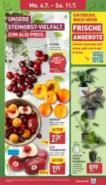 Aldi Nord Prospekt woche 28 Seite 3