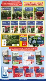 CENTERSHOP Prospekt woche 27 Seite 10