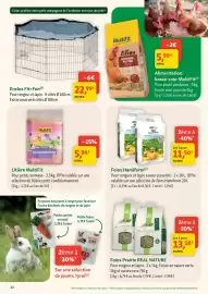 Catalogue Maxi Zoo semaine 27 page 12