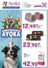 Volantino Ayoka Pagina 1