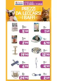 Volantino Ayoka Pagina 13
