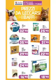 Volantino Ayoka Pagina 16