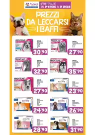 Volantino Ayoka Pagina 17