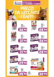Volantino Ayoka Pagina 18