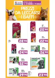 Volantino Ayoka Pagina 20