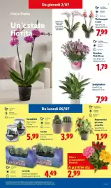 Volantino Lidl settimana 27 Pagina 29