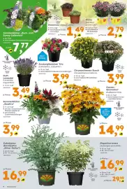 Globus Baumarkt Prospekt Seite 4